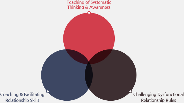 TSTA:Teaching of Systematic Thinking & Awareness,CFRS:Coaching & Facilitating Relationship Skills,CDRR:Challenging Dysfunctional Relationship Rule